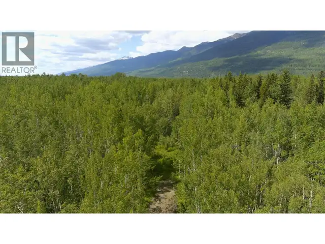 DL 5314 HORSESHOE LAKE ROAD McBride, British Columbia in Land for Sale in Quesnel - Image 13