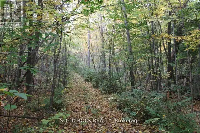 2209 JOCHEM ROAD Edwardsburgh/Cardinal, Ontario in Land for Sale in Woodstock - Image 13