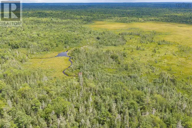 TBD Canada Hill Road Allendale, Nova Scotia in Land for Sale in Yarmouth - Image 9