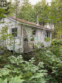Camp Berry RD Elgin, New Brunswick