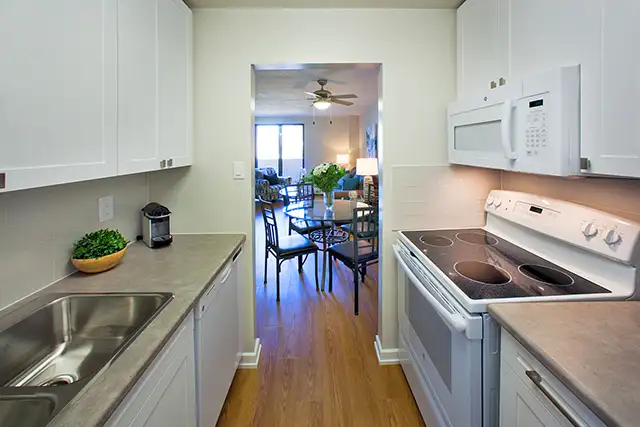 1 Bedroom Apartment for Rent in Collingwood!