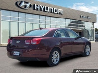 Embark on your daily adventures or long-distance travels with confidence and efficiency in this impr... (image 4)
