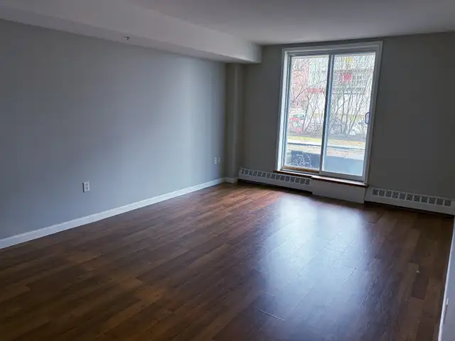 BEAUTIFUL - 1 BEDROOM ON BARRINGTON in Long Term Rentals in City of Halifax - Image 2