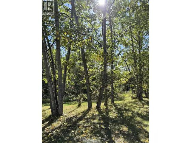 20655 HOSSACK ROAD Burns Lake, British Columbia in Houses for Sale in Burns Lake - Image 31