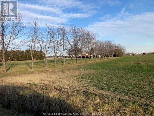 614 COUNTY ROAD 8 Kingsville, Ontario in Houses for Sale in Leamington - Image 2