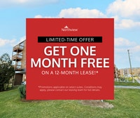 Primrose Street - 1 Bedroom 1 Bath Apartment for Rent Dartmouth Halifax Preview