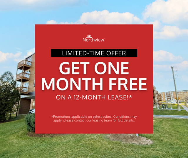 Primrose Street - 1 Bedroom 1 Bath Apartment for Rent in Long Term Rentals in Dartmouth - Image 2