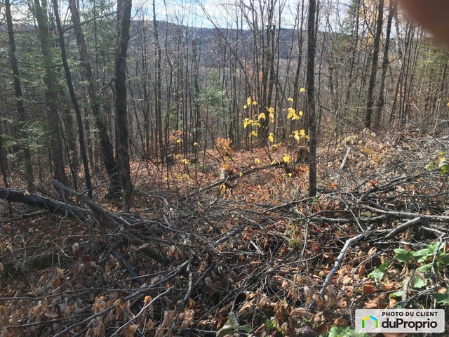 $169,900 - Residential Lot in Shawinigan (St-Jean-Des-Piles) — photo 3