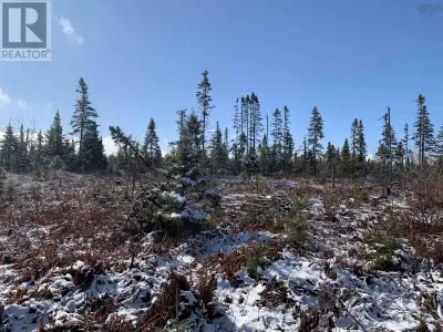 Here's a great parcel of land ready for you - so get planning! This 5 acre property on Palmer Road i...