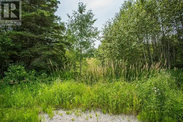 447 McPhail RD Bruce Mines, Ontario in Land for Sale in Sault Ste. Marie - Image 24