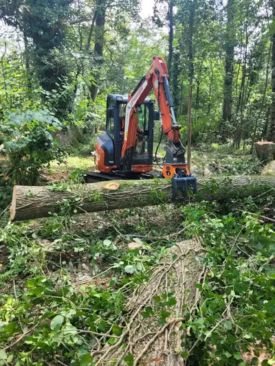 Nothing is more versatile than a hydraulic rotating grapple. Move logs, brush, poles, rocks, roots,...