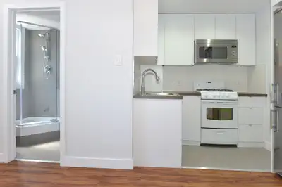 Renovated One Bedroom, College and Spadina - ID 341