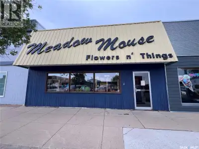 This commercial building is located in the downtown core of Meadow Lake, giving you the exposure nee...