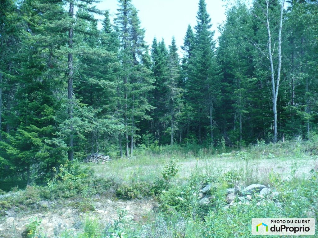 $60,000 - Land to be developed for sale in St-Tite-Des-Caps — photo 1