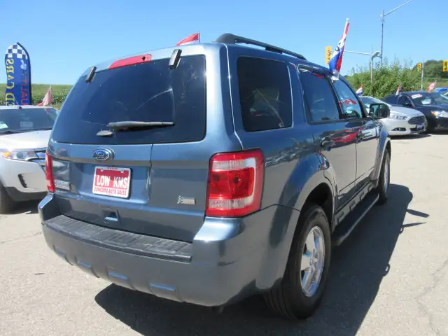 2011 Ford Escape XLT566535319171911685