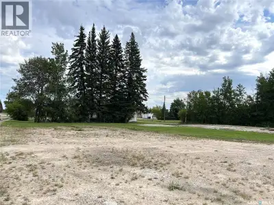 Three Commercial Lots located on Hwy 4 in the Village of Dorintosh. The lots have 120 ft of Hwy Fron...
