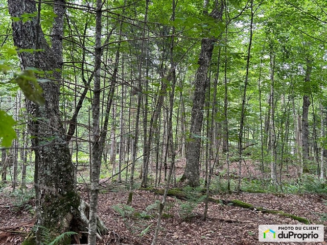 $189,000 - Price taxes not included - Residential Lot for sale — photo 2