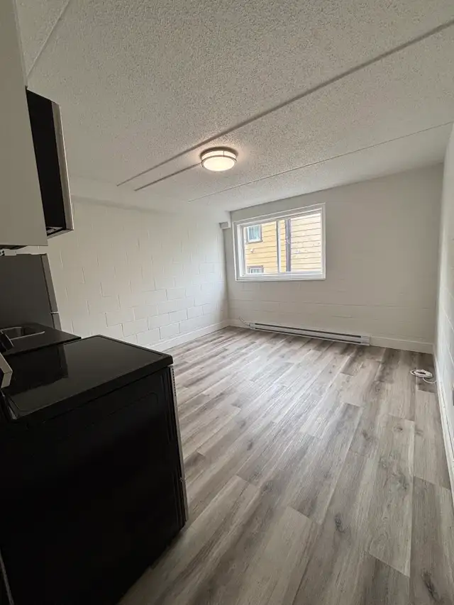 NEWLY RENOVATED - BACHELOR UNITS in Long Term Rentals in Saint John - Image 5
