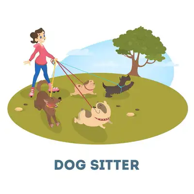 Dog sittter available, View more