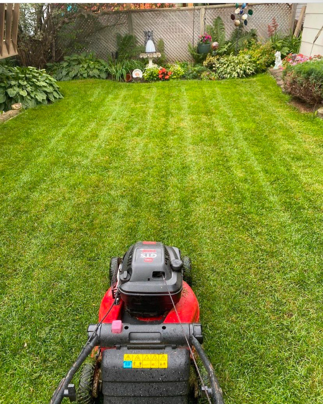 Grass Cutting and Lawn Care in Other in Thunder Bay - Image 2