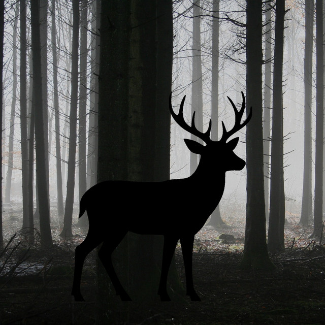  FREE Deer Silhouette Template – DIY Yard Art or Wall Decor in Free Stuff in City of Toronto