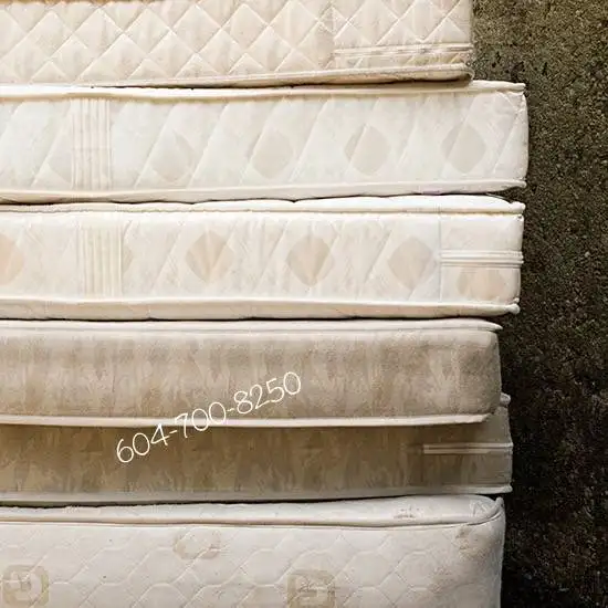 Wonderful mega super sale Queen Double &Single used mattresses in Beds & Mattresses in Delta/Surrey/Langley - Image 8