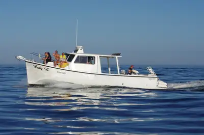 2006 35ft Downeast Trawler OCEAN FISHER 2006 35ft Downeast Trawler OCEAN FISHER OVERVIEW: The "Lady...