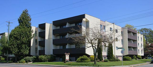 1 Bedroom Apartment for Rent - 3819 Shelbourne Street in Long Term Rentals in Victoria