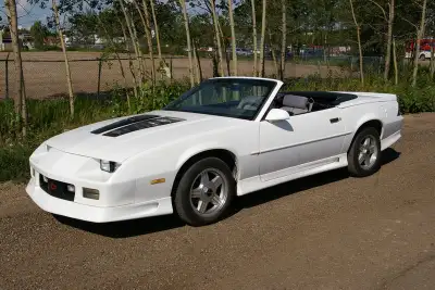 David Ts Camaro & Firebird Looks good in pictures but upon close inspection, it requires a paint job...