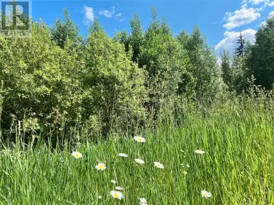 The ONLY lot available in downtown Salmo! Zoning opportunity allows for commercial such as retail sh...