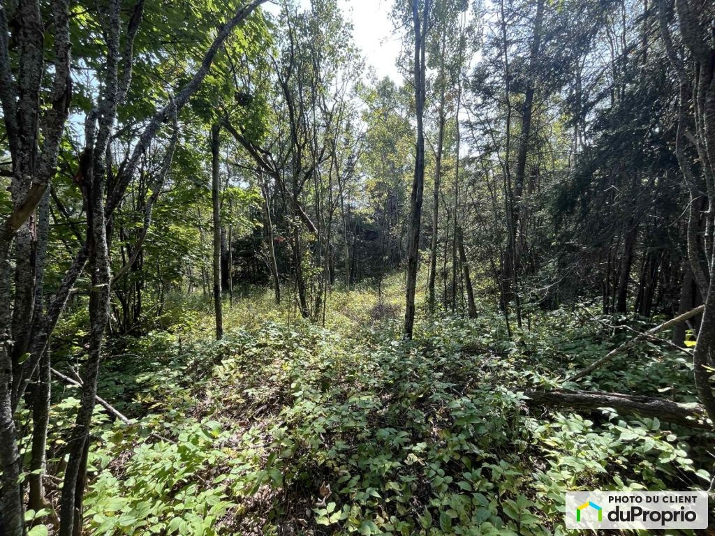 $229,999 - Residential Lot for sale in La Malbaie — photo 2