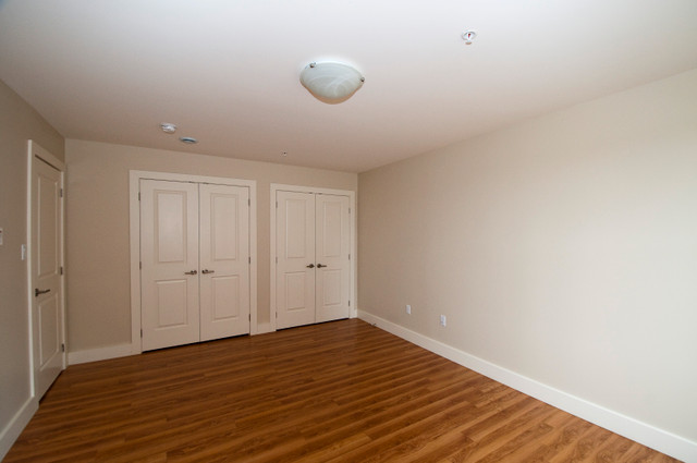 2 BR -  Condo Style - Dog Friendly! in Long Term Rentals in City of Halifax - Image 2