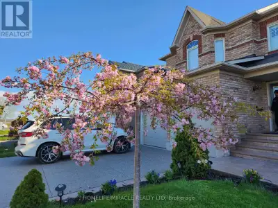 Beautiful, Immaculate, Fully Furnished well maintained Spacious 4-bedroom, 3 washroom house (Main Fl...