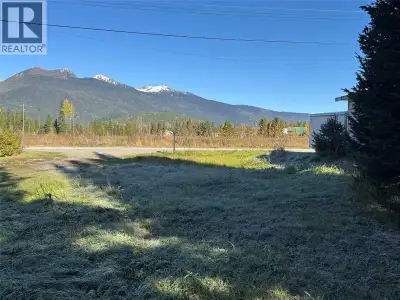 New on the market! .17 acre lot for sale in Blue River BC. If you are looking to get away from the b...