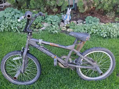 Dragon Mole BMX Bike, View more