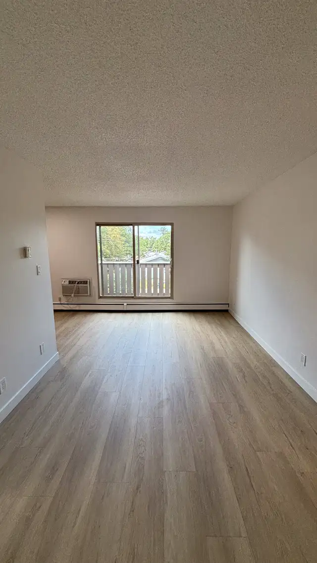 Studio Owl at The Mews – Carlton - First Month Rent Free!63849107837057124