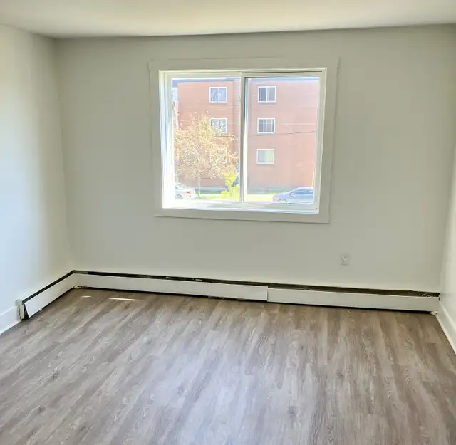 Primrose Street - Studio Apartment for Rent in Long Term Rentals in Dartmouth - Image 8