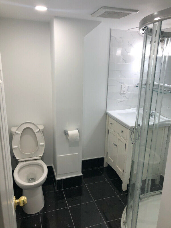 One-bedroom large Basement Apartment at Dundas/Winston Churchill 2