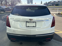 AMVIC Licensed Dealer AMVIC LICENSED DEALER. Stock number: B2781 The 2023 Cadillac XT5 Luxury delive... (image 6)