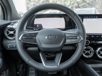 (up to 455km On Full Charge )Midnight Edition- Black Roof | HD Surround Vision | Black Gloss Wheels... (image 9)