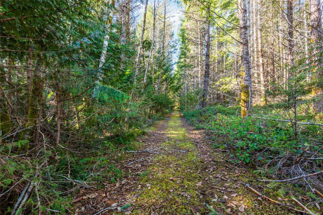 4.97-acre Lot Nestled Near Horne Lake, Spider Lake, and The Illu in Land for Sale in Port Alberni - Image 3