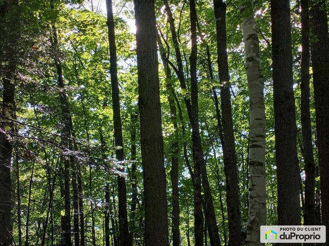 $115,000 - Residential Lot for sale in Rawdon — photo 1