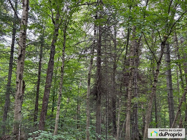 $189,000 - Price taxes not included - Residential Lot for sale — photo 3