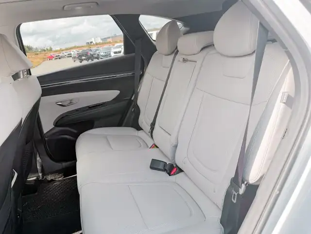 2024 Hyundai Tucson Hybrid Luxury in Cars & Trucks in St. John's - Image 11