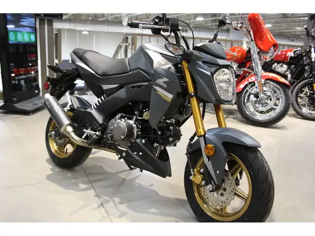 2024 Kawasaki Z125 PRO 125CC STREET LEGAL & EASY TO RIDE! in Street, Cruisers & Choppers in Guelph - Image 5