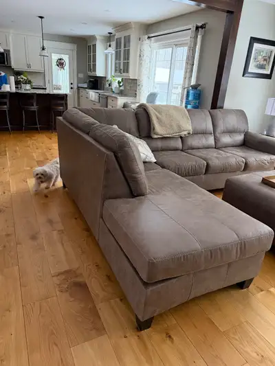 Sectional couch with shase  lounge and automan 1 year old, View more
