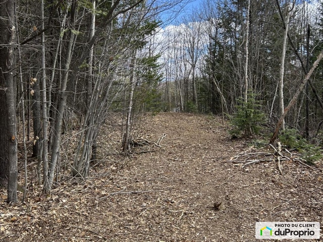 $270,000 - Residential Lot for sale in St-Boniface — photo 3
