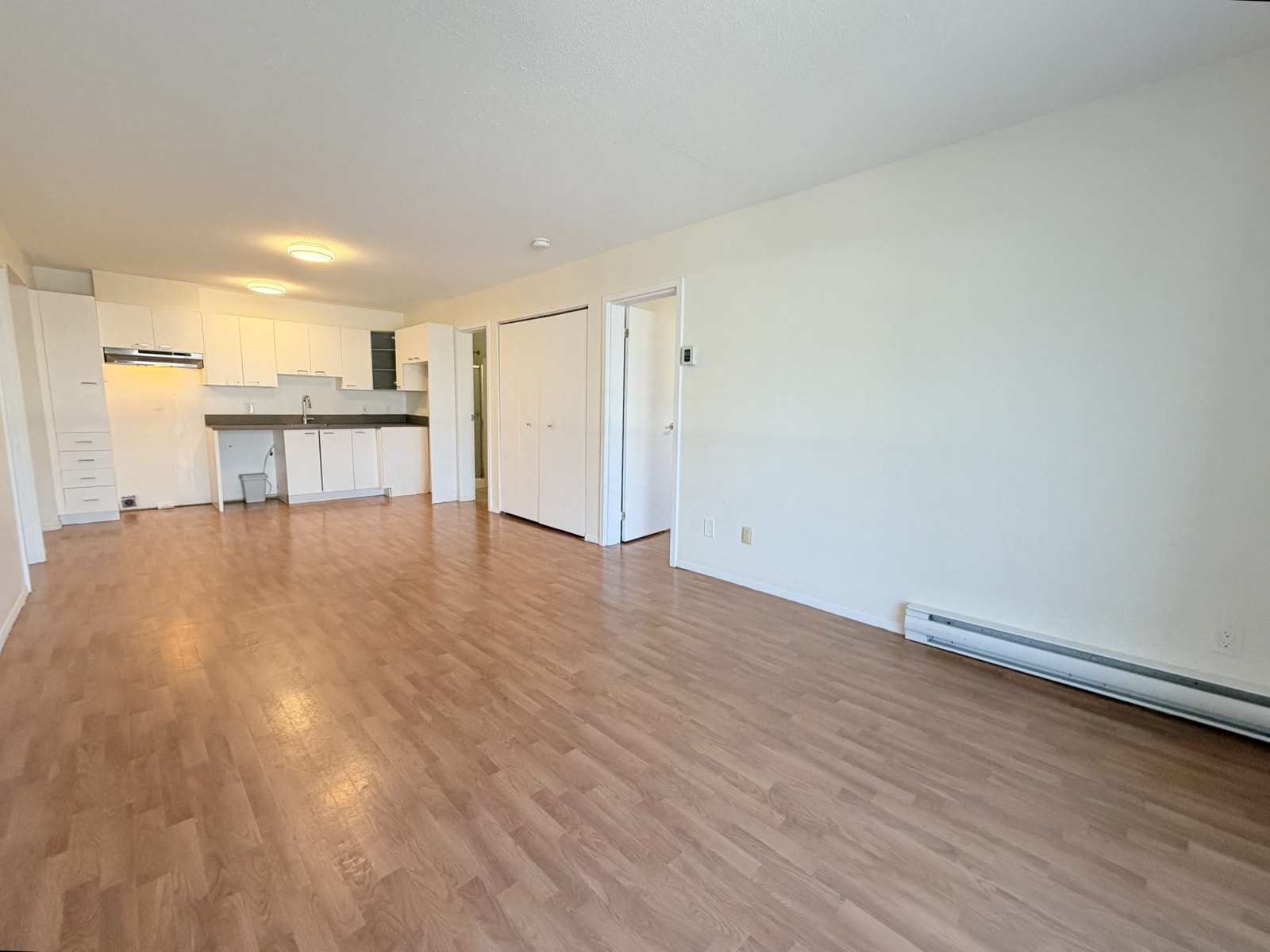 3060 Rue Antoine-du Verdier — photo 3