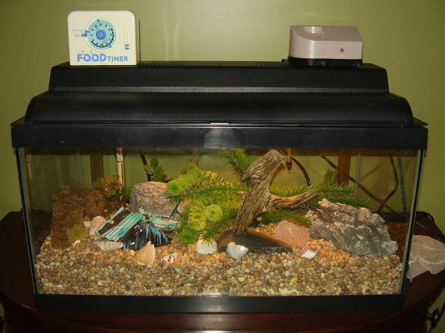 Top of the line accessories for Aquarium 20+ gallon in Accessories in City of Toronto