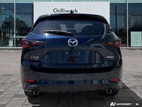 Tires - Front Performance,Temporary Spare Tire,ABS,All Wheel Drive,Tires - Rear Performance,Brake As... (image 4)